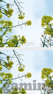 电玩城水果机攻略-电玩城水果机攻略，提升胜率的实用技巧